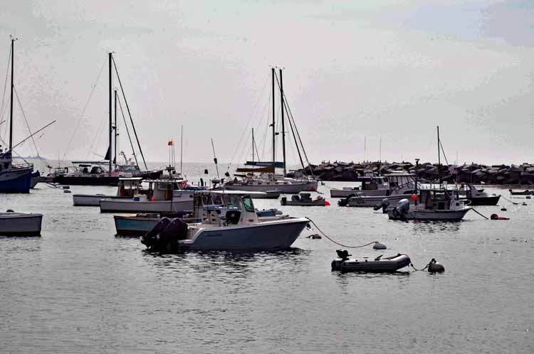 harbor